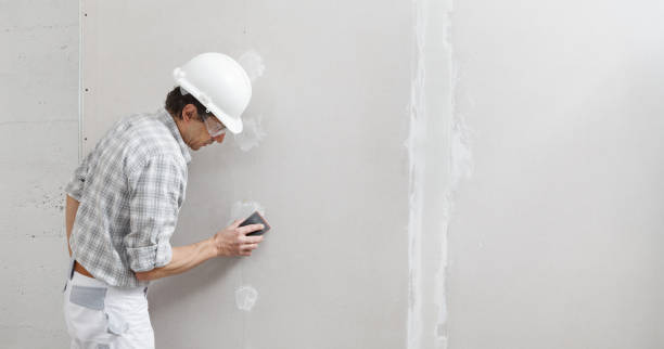 Best Attic Mold Removal  in Manchester, MI