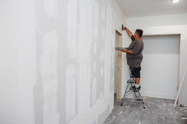Best Crawl Space Mold Remediation  in Manchester, MI