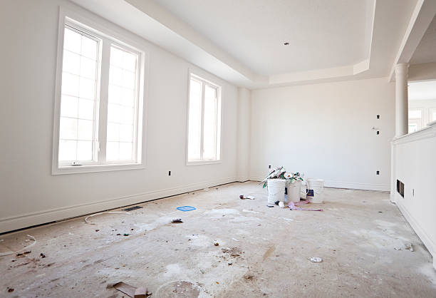Best Water Damage & Mold Remediation  in Manchester, MI